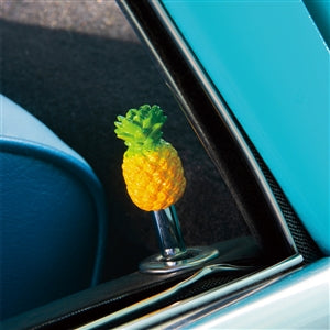 DOOR LOCK PINEAPPLE